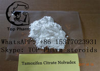 Verbesserungs-Steroide Tamoxifen-Zitrat Tamofen Nolva CASs 54965-24-1 männliches