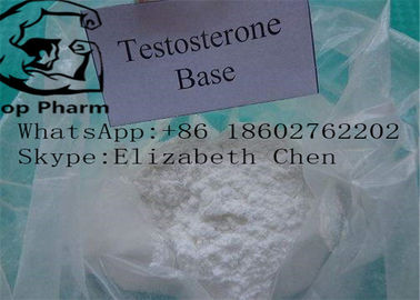 Reinheit Testosteron-Basis-weißes Pulverbodybuilding roher Testosteron-Pulver CASs 58-22-0 98%
