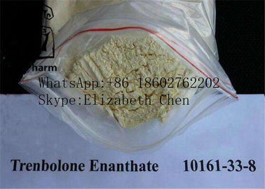 CAS 10161-33-8 Trenbolone Enanthate/Parabel-Gestalt-Muskel-Steroide Trenbolone-Azetat-gelbes Pulver 99%purity