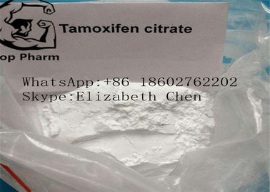 Verbesserungs-Steroide Tamoxifen CASs 54965-24-1 zitrieren männlicher weißes Pulver Tamofen Nolva