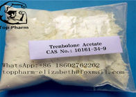 Steroid-Pulver CAS Trenbolone-Azetat Tren Ace Trenbolone 10161-34-9 hormonale Drogen bodybuildendes 99%purity