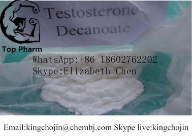 Muskel-Gebäude-Pulver-Testosteron Decanoate 4-Androsten-17beta-Ol-3-One Decanoate 99%purity CASs 5721-91-5