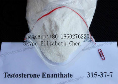 Weißes Pulver Reinheit Muskel-Gewinn-Pulver-Testosteron Enanthate CAS 315-37-7 99%