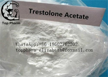Des Trestolone-Azetat-MENT Trenbolone Bodybuilding-Reinheit 99% Steroid-Pulver-CAS6157-87-5