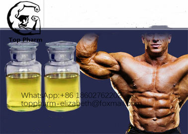 Injizierbares flüssiges 10ml/Vial For Gaining Muscle Injection Öl-gelbes Öl 99%purity Boldenone Cypionate 200