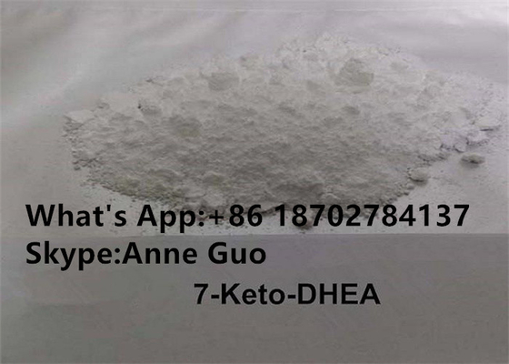 Steroid-rohes Pulver CAS 566-19-8 99% Reinheits-7-KETO DHEA für immune Gesundheit